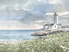 AS429 - Coastal Guardian - 16x12