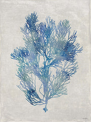 AS434 - Seaweed I - 12x16