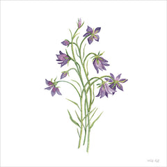 CIN4366 - Bluebells Botanical - 12x12