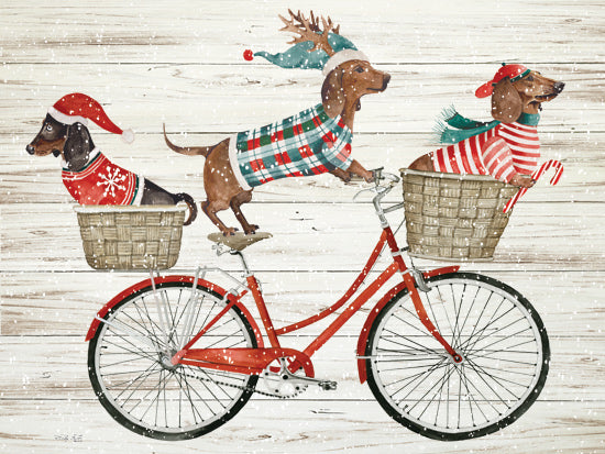 Cindy Jacobs CIN4544 - CIN4544 - Dachshund Bike Ride - 16x12 dachshund trio on red bicycle, Christmas dog art, festive sweaters, candy cane, rustic holiday decor, winter snow, funny pet ride, humorous festive dogs from Penny Lane