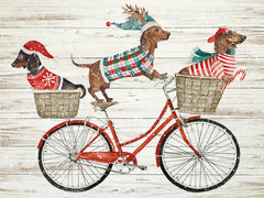 CIN4544 - Dachshund Bike Ride - 16x12