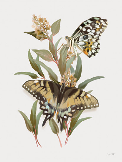 House Fenway FEN1238 - FEN1238 - Butterfly Grove III - 12x16 colorful butterflies, spring greenery, floral stems, graceful nature scene, botanical insects, delicate painting from Penny Lane