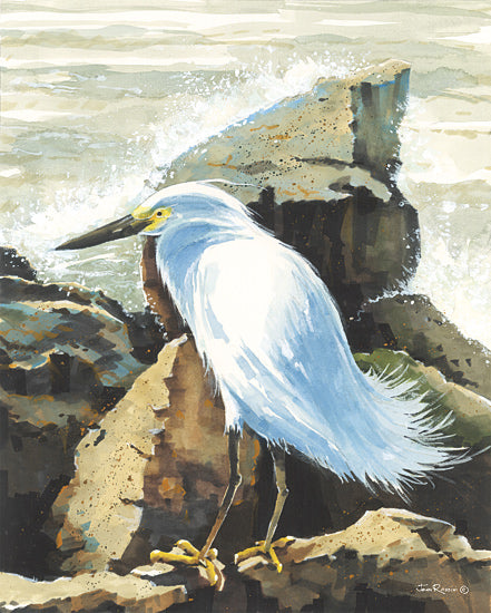 John Rossini JR443 - JR443 - Rocky Perch - 12x16 egret, ocean splash, coastal rocks, bird, nature photography, marine wildlife, dynamic waves, shore, water spray from Penny Lane