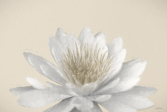 Lori Deiter LD3733 - LD3733 - Rise and Shine - 18x12 white lotus blossom, macro flower center, close-up petals, botanical artwork, soft ivory tones, detailed stamen, floral decor, minimalist flower image from Penny Lane