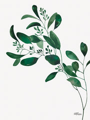 CTD149 - Eucalyptus Branch - 12x16