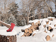 LD2635 - Snowy Wood Pile     - 16x12