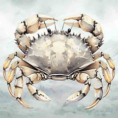ND300 - Cape Cod Crab - 12x12