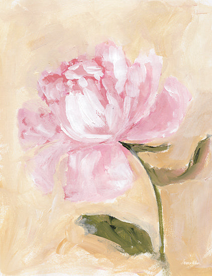 Amanda Hilburn AH187 - AH187 - Soft Pink Peony - 12x16 Flowers, Peony, Pink Peony, Spring, Abstract, Watercolor from Penny Lane