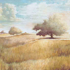 CC249 - Rolling Wheat Field - 12x12