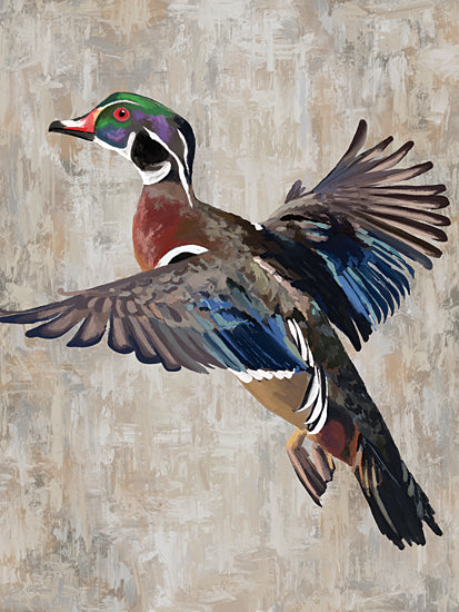 Cat Thurman Designs CTD265 - CTD265 - Wood Duck - 12x16 Duck, Wood Duck, Hunting, Duck Hunting, Masculine from Penny Lane