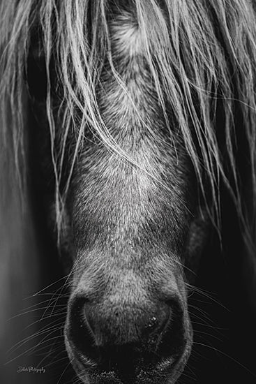 Dakota Diener DAK276 - DAK276 - Hidden Horse - 12x18 Photography, Horse, Portrait, Black & White from Penny Lane