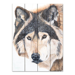 DF187 - Wolf Portrait - 12x16