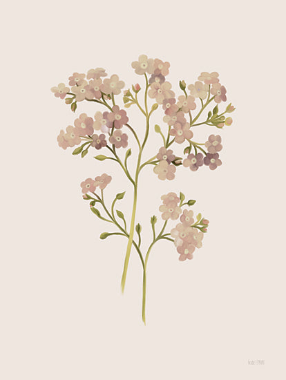 House Fenway FEN898 - FEN898 - British Wildflower II - 12x16 Flowers, Pink Flowers, British Wildflower, Botanical from Penny Lane