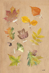 FEN935LIC - Autumn Leaves    - 0