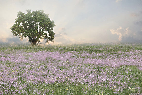 Lori Deiter LD3403 - LD3403 - Wildflower Field - 18x12 Photography, Landscape, Wildflowers, Purple Wildflowers, Wildflower Field, Tree, Clouds, Sky from Penny Lane