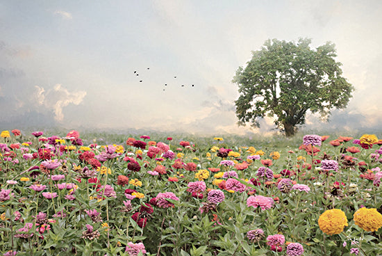 Lori Deiter LD3406 - LD3406 - Zinnia Field - 18x12 Photography, Landscape, Flowers, Zinnias, Purple, Yellow, Maroon, Tree, Clouds, Sky from Penny Lane