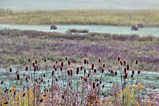 Lori Deiter LD3425 - LD3425 - Roadside Beauty - 18x12 Landscape, Thistle, Wildflowers, Lavender, Haystacks, Roadside Beauty from Penny Lane