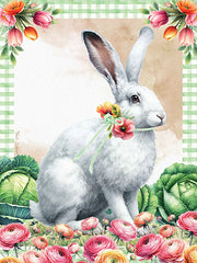 ND408 - Full Bloom Rabbit - 12x16
