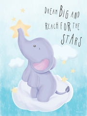 ND557 - Dream Big and Reach for the Stars - 12x16