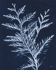 NOR338 - Indigo Evergreen - 12x16