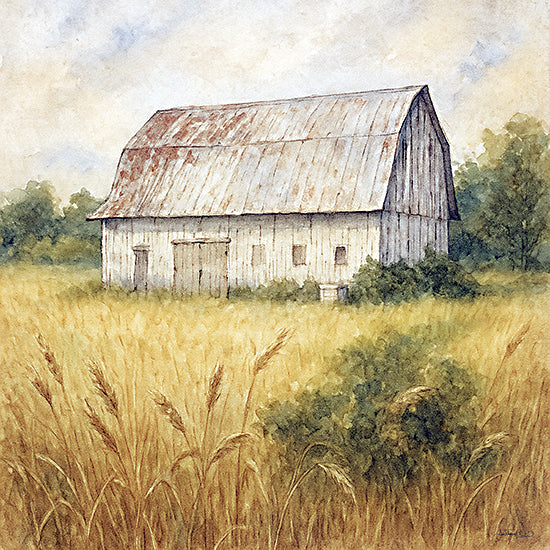 Anthony Smith ANT226 - ANT226 - Sandoval Barn - 12x12 barn landscape, field, rustic farm from Penny Lane