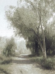 AS371 - Nature Walkway - 12x16