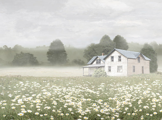 Amber Sterling AS409 - AS409 - The Daisy House - 16x12 farmhouse, daisies field, foggy morning, rustic home, soft tones from Penny Lane