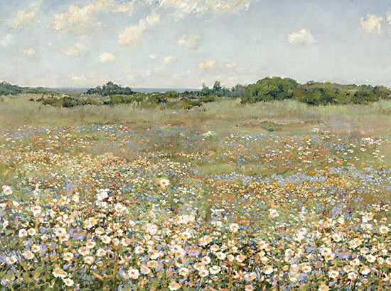 Amber Sterling AS452 - AS452 - Summertime Serenade - 16x12 wildflower field, scenic countryside, vast meadows, colorful flowers, peaceful nature, summer landscape, artistic rural scene, open fields, painterly brushwork, bright and airy from Penny Lane