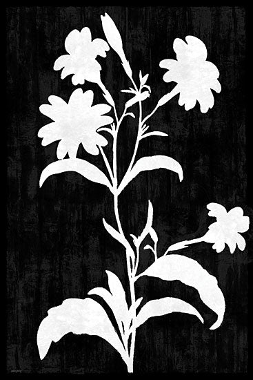 Amber Sterling AS619 - AS619 - Inverted Garden II - 12x18 white floral silhouette on black background botanical high contrast flowers from Penny Lane