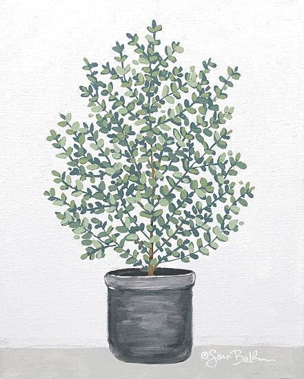 Sara Baker BAKE367 - Potted Patience II - 12x16 boxwood, potted plant, greenery, minimalist, botanical, nature from Penny Lane