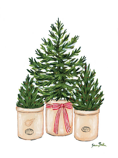 Sara Baker BAKE404 - BAKE404 - Holidays at Home II - 12x16 holidays & seasonal, botanical, christmas, trees, christmas tree, pine, evergreen, stoneware, ribbon, decorative, modern farmhouse, watercolor, green from Penny Lane