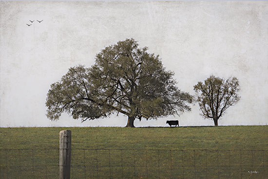 Susie Boyer BOY793 - BOY793 - Lonely One      - 18x12 pastoral landscape, cow in field, large tree, rural scenery, open meadow, birds flying, farm life, country landscape, nature serenity from Penny Lane