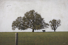 BOY793 - Lonely One      - 18x12