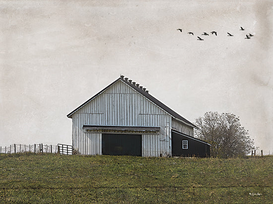 Susie Boyer BOY794 - BOY794 - Countryside Calm   - 16x12 barn, white barn, rural scene, farm building, birds flying, countryside, rustic landscape, farmhouse charm from Penny Lane