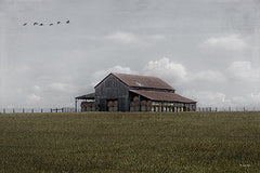 BOY795 - The Stories It Holds     - 18x12