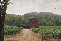 BOY809 - Green Acres - 18x12
