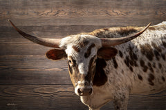 BOY811 - Spotted Longhorn - 18x12