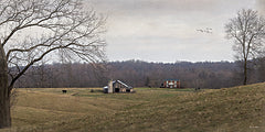 BOY812 - Cane Run Farm - 18x9