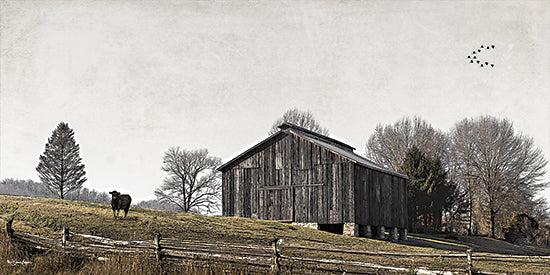 Susie Boyer BOY813 - BOY813 - River Country Barn - 18x9 rustic barn, wooden barn, weathered wood, hillside pasture, grazing cow, split rail fence, bare trees, winter grass, birds flying, rural farm, country landscape, moody sky, minimalist, farmhouse style, pastoral, nature, open field, Americana, countryside from Penny Lane