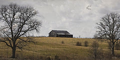 BOY814 - On a Hill - 18x9