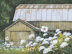 BR644 - Spring at the Old Barn - 16x12