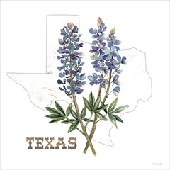 CIN4450 - Texas Bluebonnets - 12x12