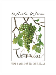CIN4462 - White Wine - 12x16