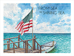 CIN4662 - From Sea to Shining Sea - 16x12