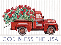 CIN4667 - God Bless the USA - 16x12