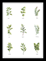 CIN4717 - Garden Herbs - 12x16