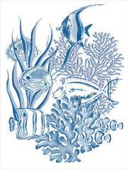 CTD180 - Pretty Fish - 12x16