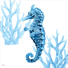 CTD314 - Reef Roamer 2 - 12x12