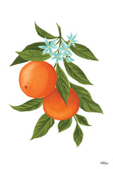 CTD340 - Oranges - 12x18