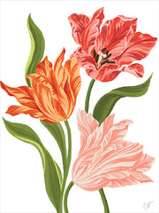 CTD343 - Whispering Tulips   - 12x16